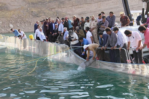 پرورش ماهی