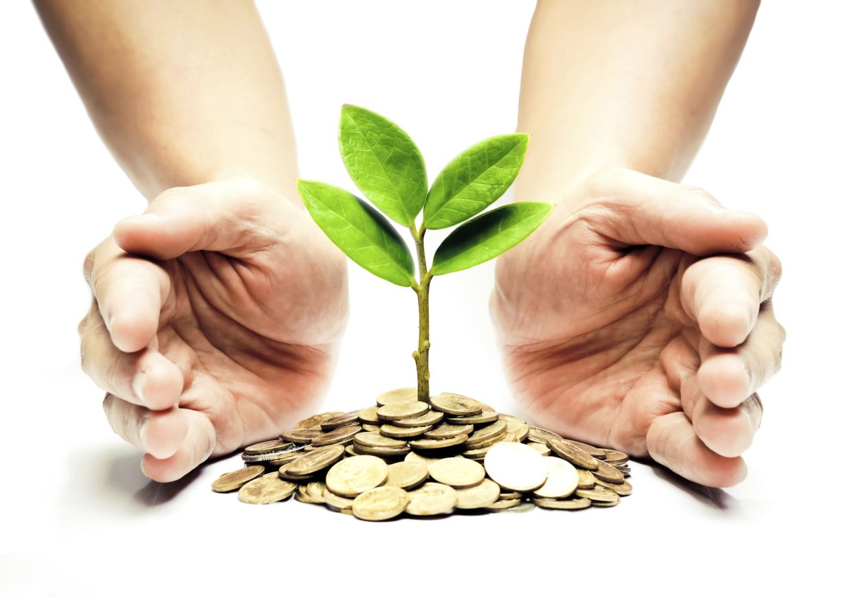 صندوق سرمایه گذاری