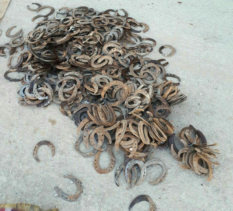نعل اسب