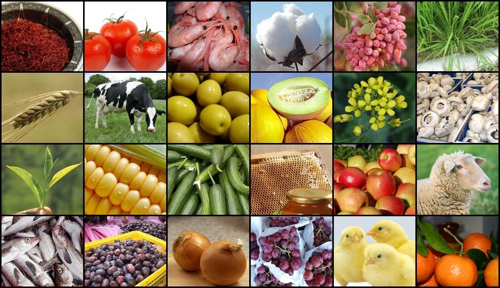 مرکز آمار