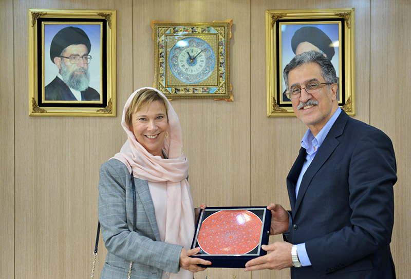 خوانساری
