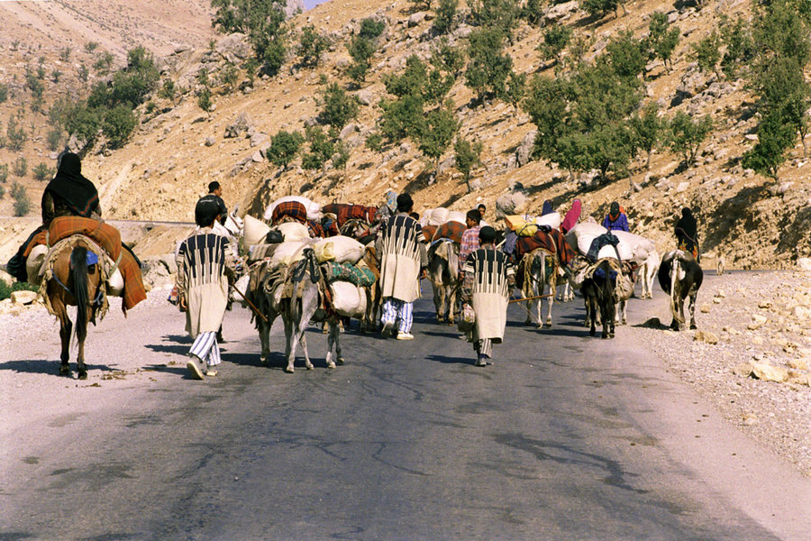 عشایر