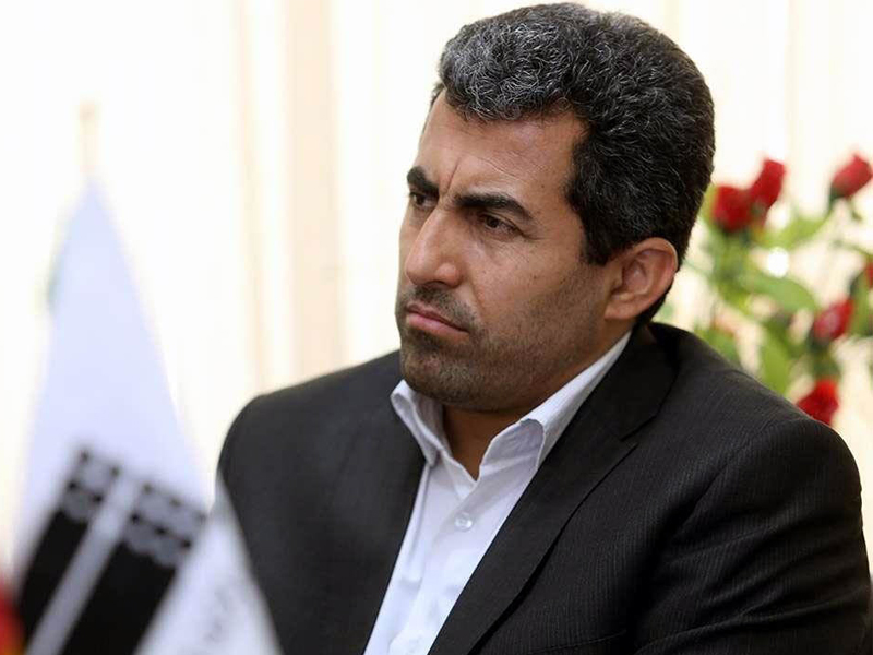 پور ابراهیمی