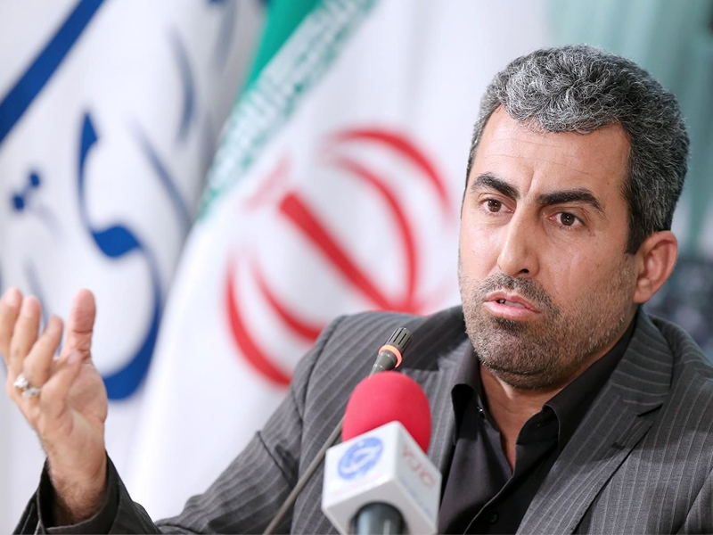 پور ابراهیمی
