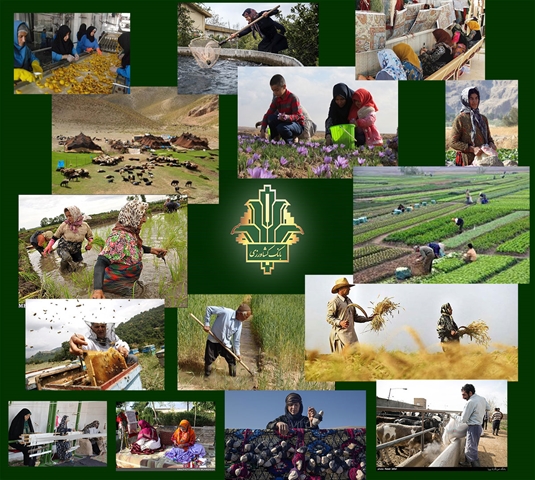 اشتغال پایدار روستایی