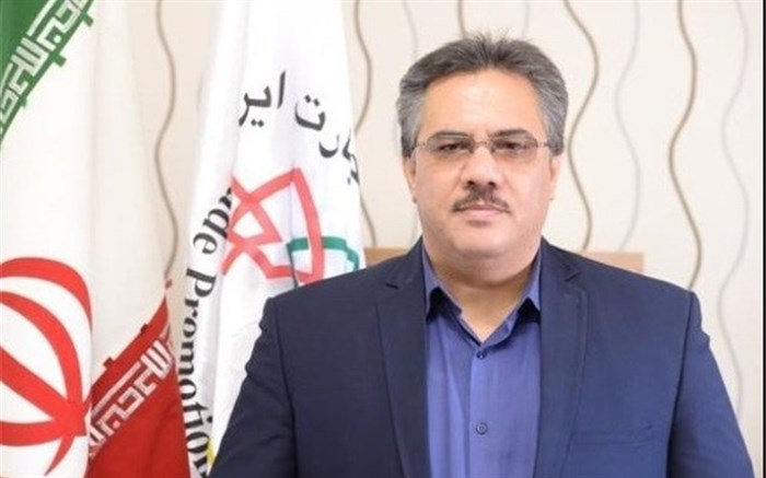 محمدرضا مودودی