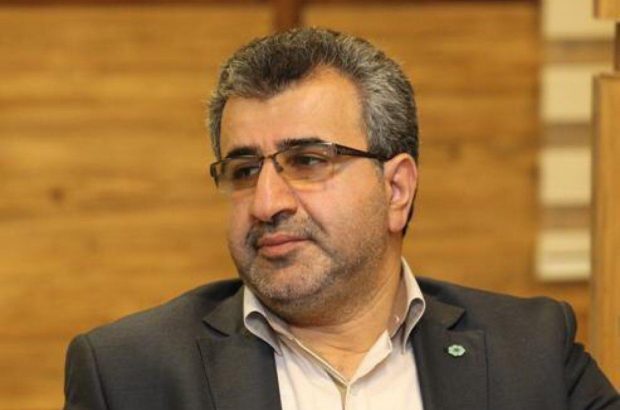 سعید معادی