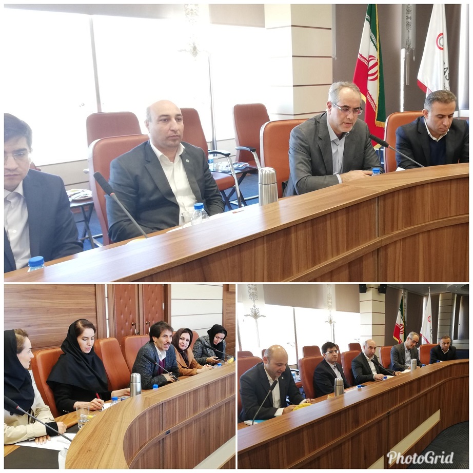 بازدید عضو هیئتمدیره بانک توسعه تعاون از طرحهای اقتصادی و توسعهای استان فارس