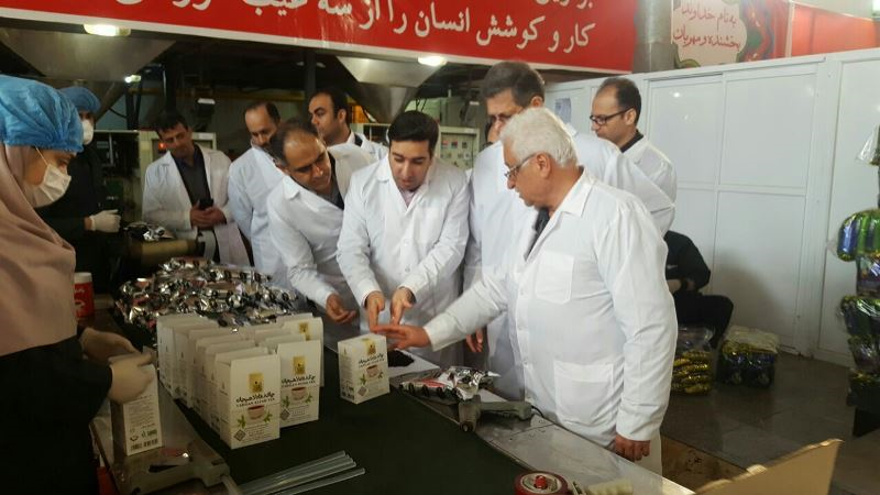 بازدید عضو هیئتمدیره بانک توسعه تعاون از طرحهای اقتصادی و توسعهای استان گیلان