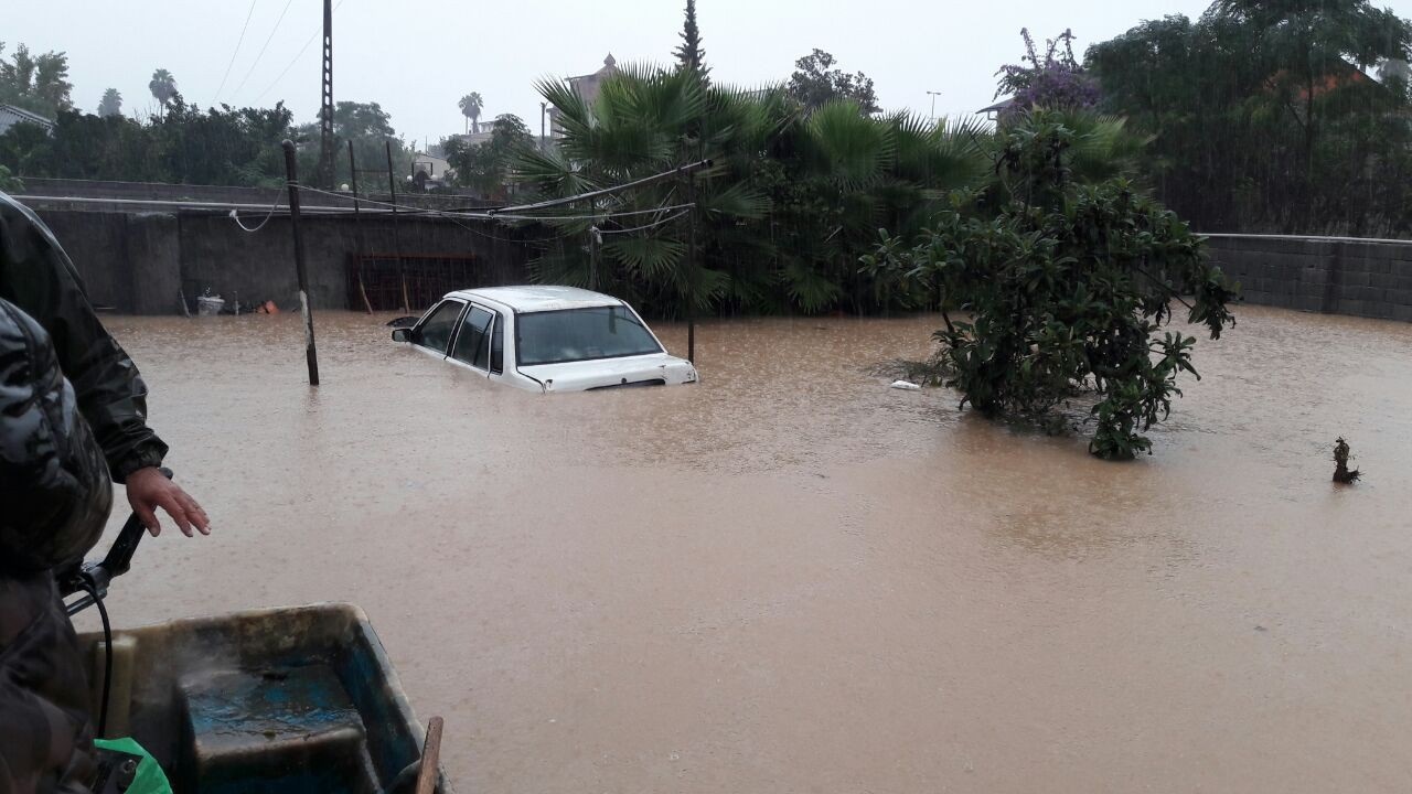 سیل