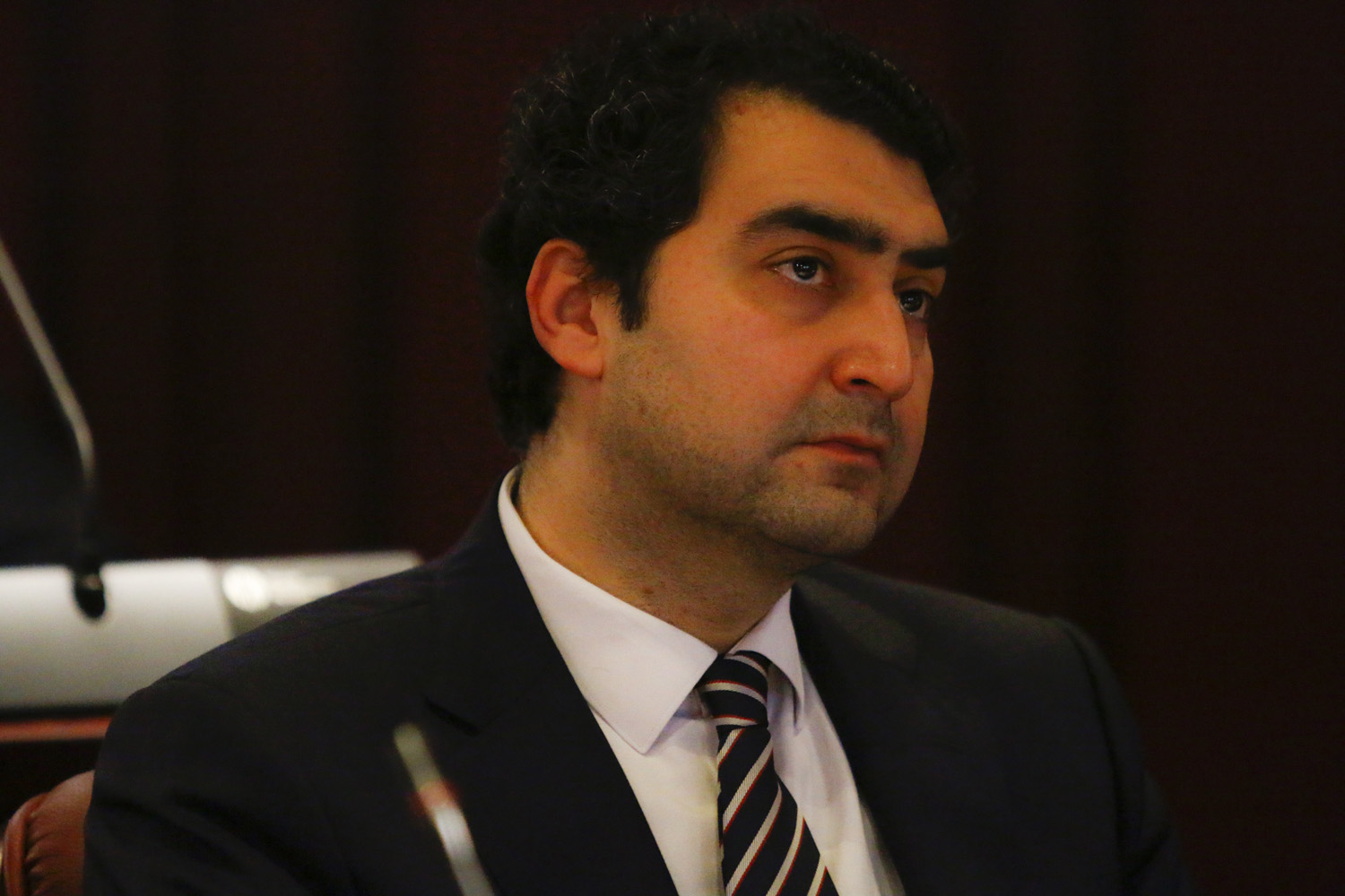 فرزین فردیس