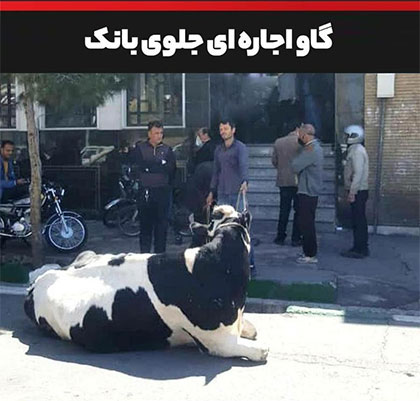 جوابیه