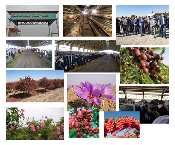 بانک کشاورزی