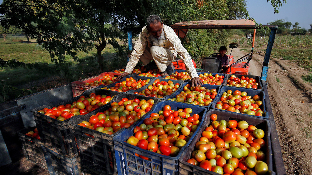 کشاورزی هند