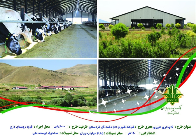 دامداری