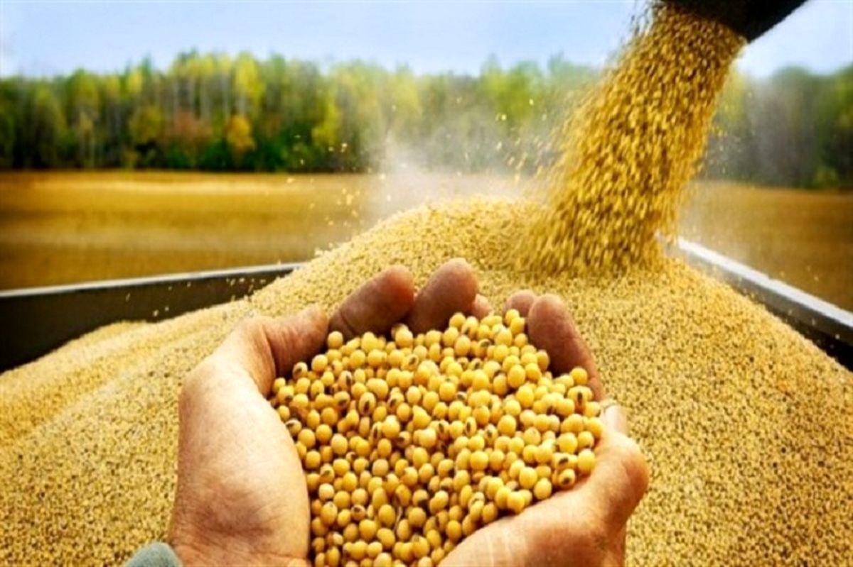 نهاده های کشاورزی