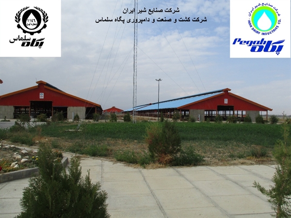بانک کشاورزی