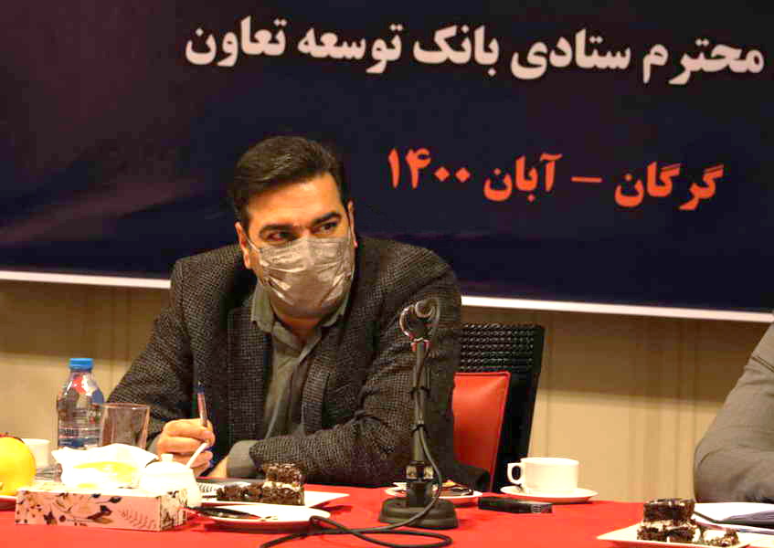 نقش بانک توسعه تعاون درشکل گیری الگو ها ونمونه های موفق تعاونیها