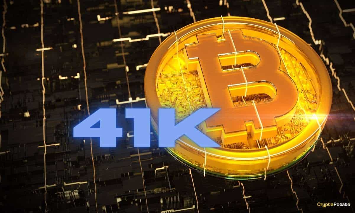 بیت