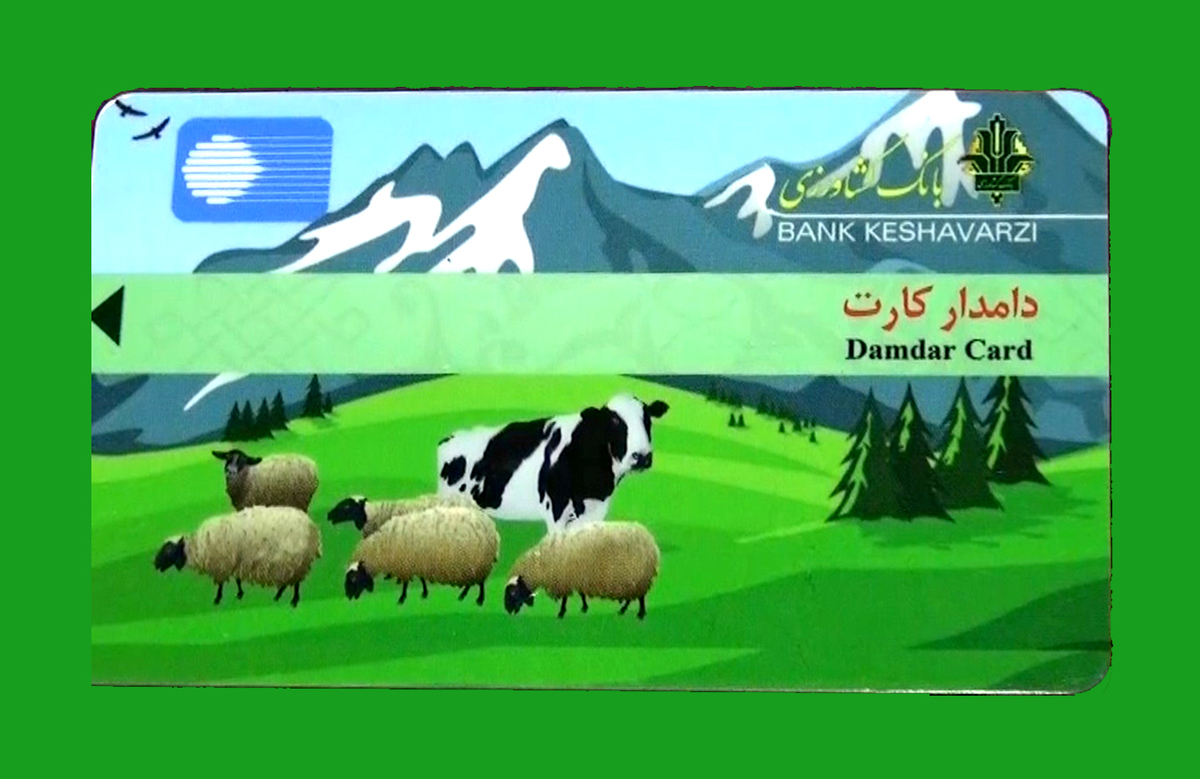 دامدارکارت