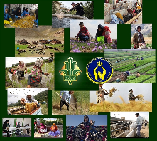 بانک کشاورزی