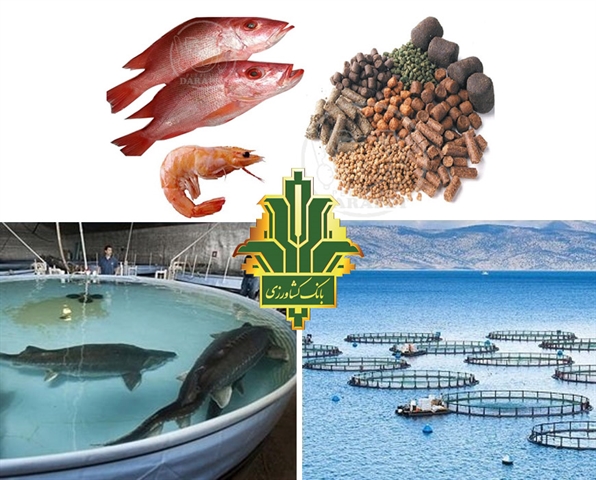 شیلات