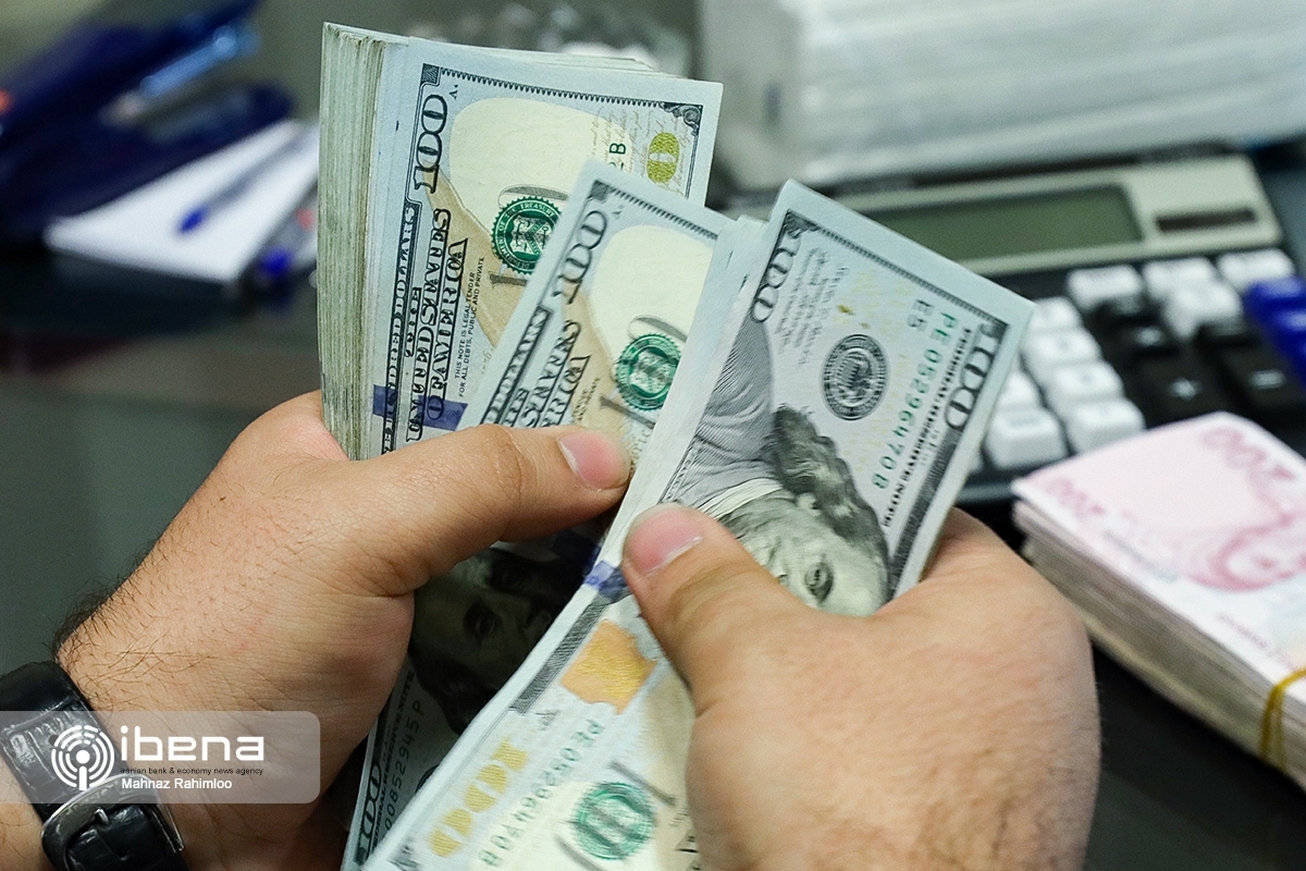 نرخ تسعیر ارز در سال آینده ۲۶ هزار تومان/ پرداخت یارانه ادامه دارد