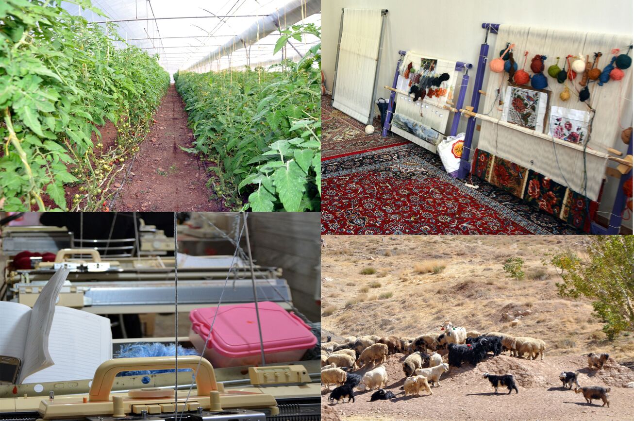 افزایش ۷۰ درصدی تسهیلات اشتغال روستایی