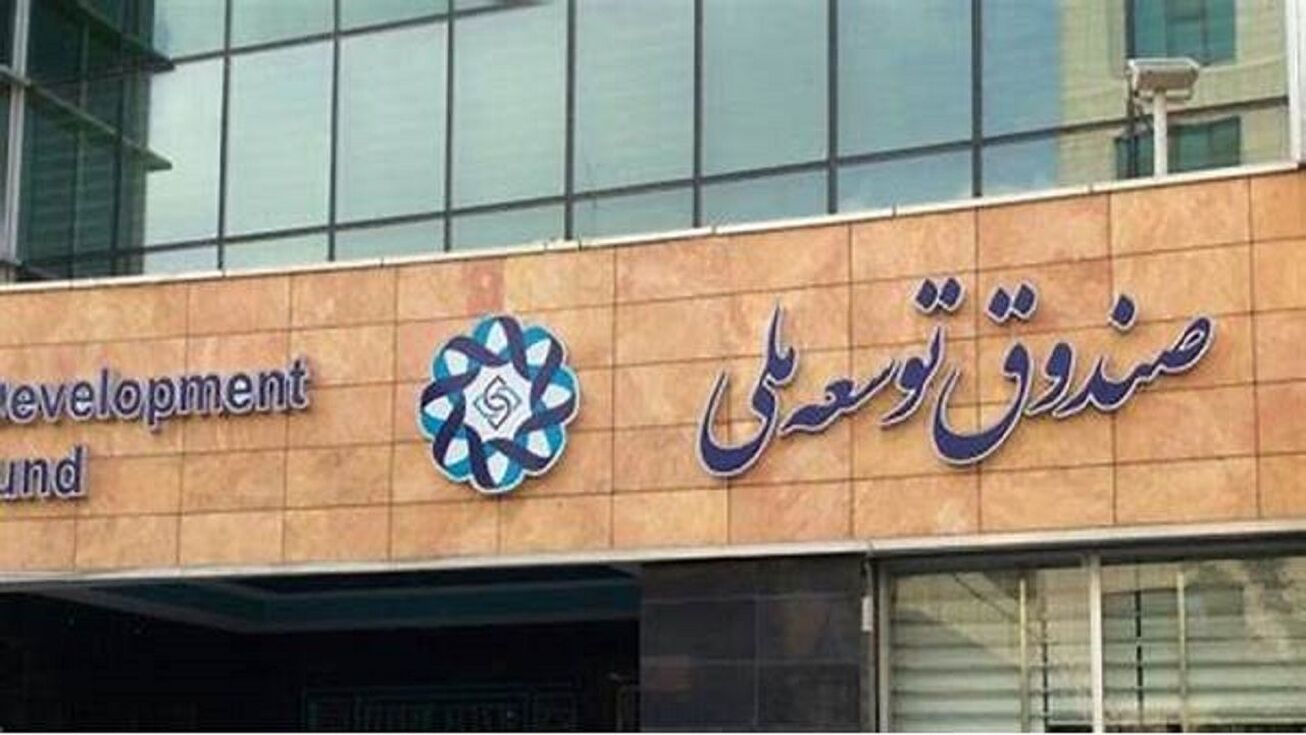۲۰ درصد تسهیلات صندوق توسعه ملی به نهاد&zwnj;های عمومی غیر دولتی می&zwnj;رسد