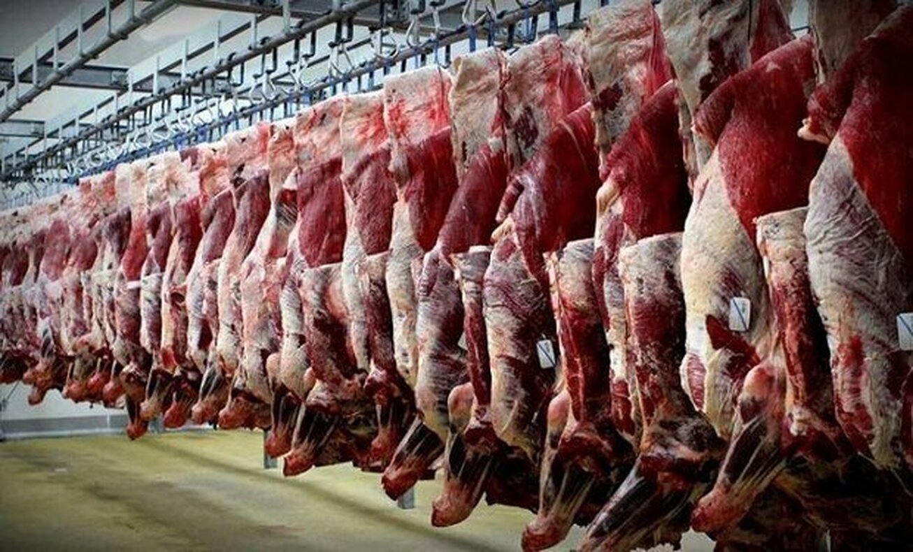 عرضه گوشت گرم از امروز در میادین/ قیمت&zwnj;های مصوب اعلام شد