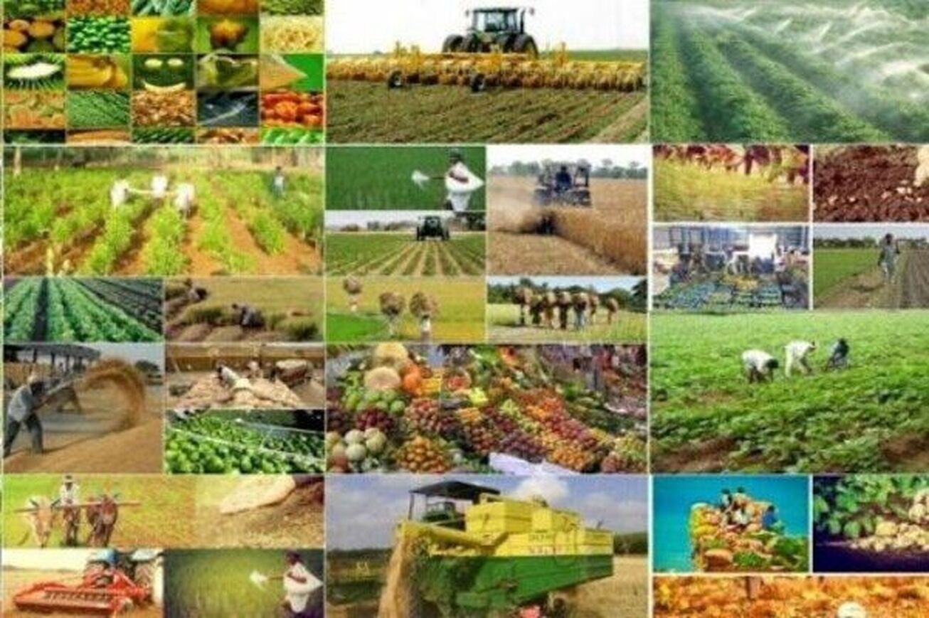 پیش&zwnj;بینی ۲۴ هزار میلیارد تومان تسهیلات برای اجرای کشت قراردادی