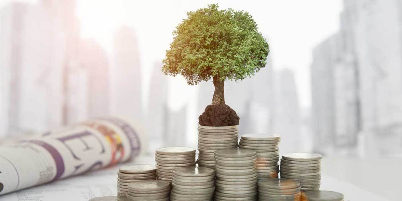 چگونه از صندوق&zwnj;های سرمایه&zwnj;گذاری سود دریافت کنیم؟