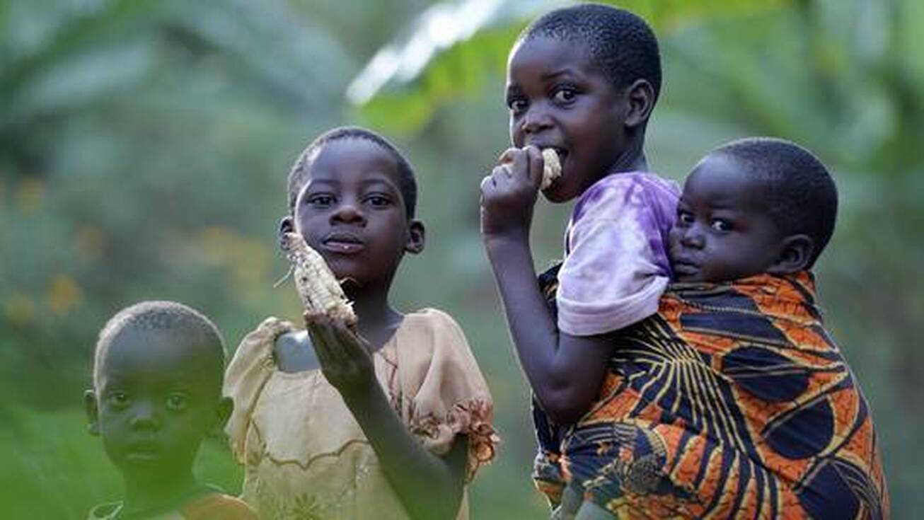 ناامنی غذایی هولناک ناشی از تورم جهانی