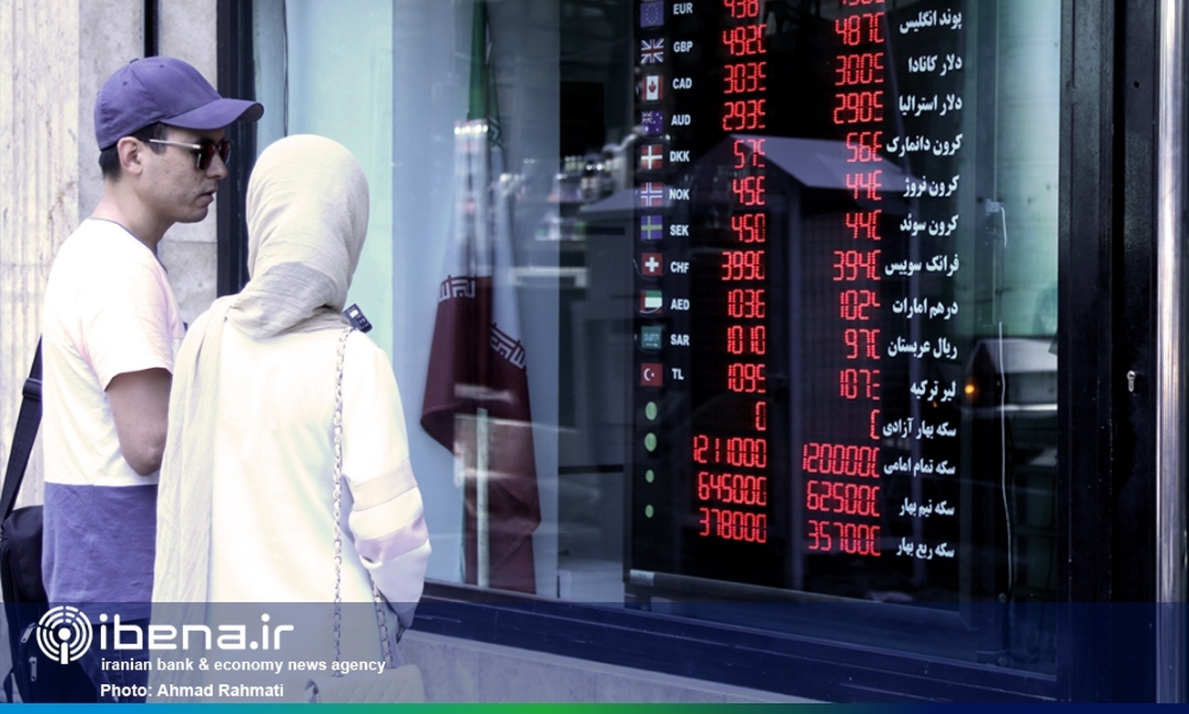 اقتصاد دولتی عامل تنش&zwnj;های قیمتی ارز است