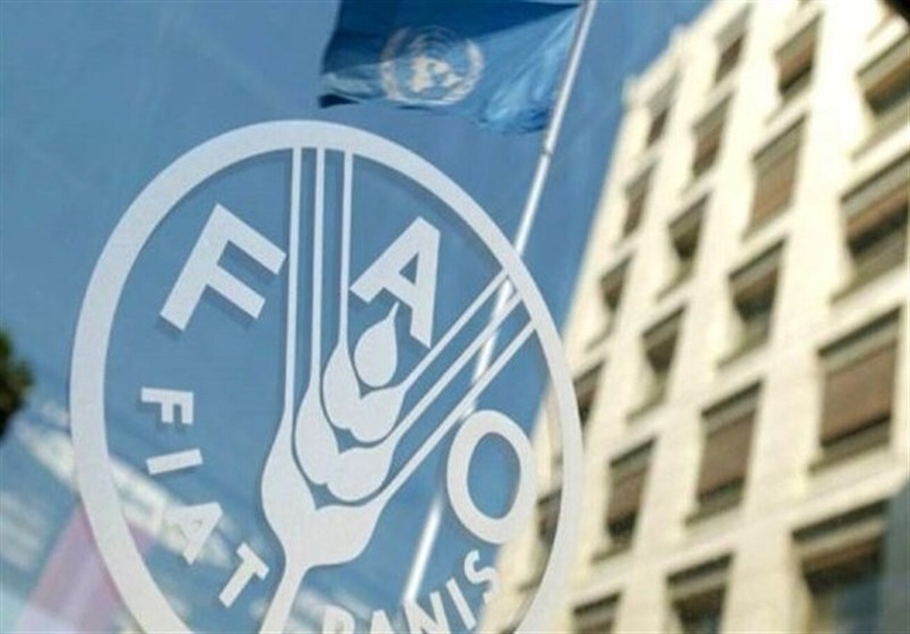 رشد ۲۵ درصدی تولید گندم در سال ۲۰۲۲