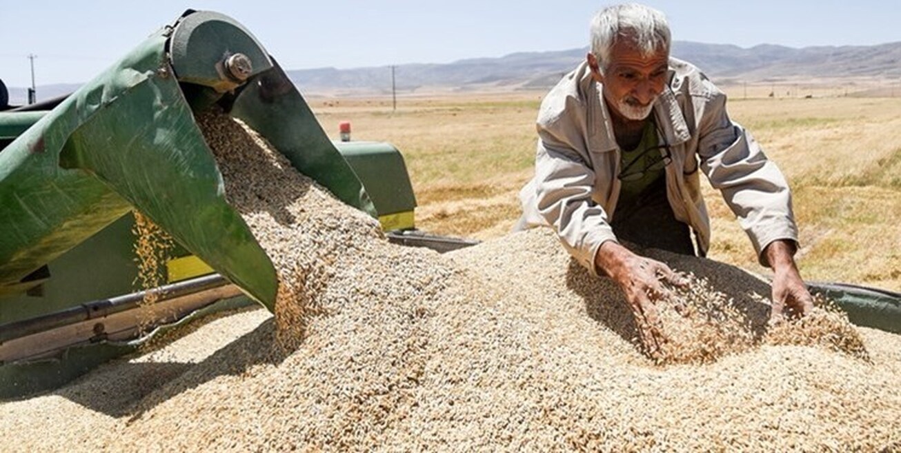 کاهش جهانی قیمت کالا&zwnj;های اساسی / نرخ گندم ۶.۵ دلار در یک روز کاهش یافت