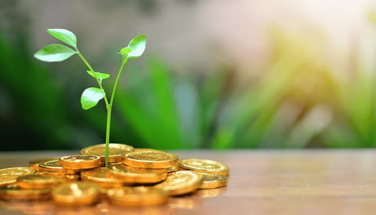 تشکیل نخستین صندوق سرمایه گذاری خصوصی در حوزه دانش بنیان