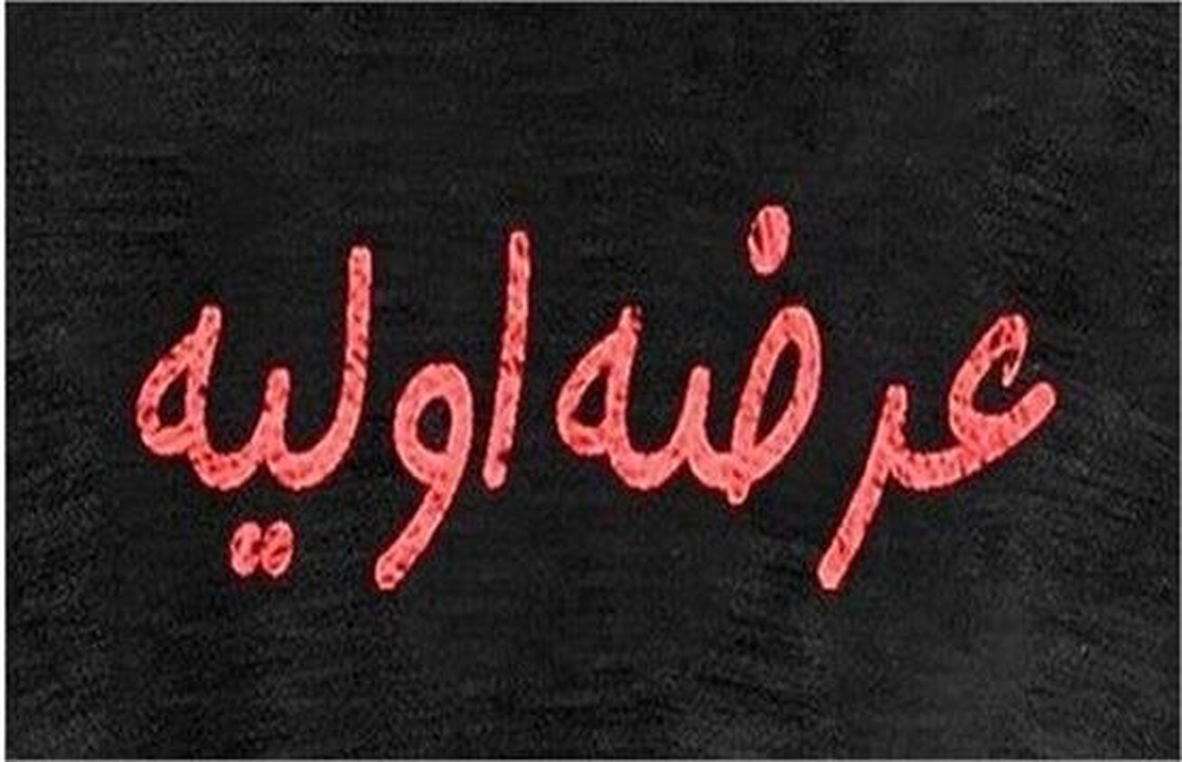 جزئیات مهم از عرضه اولیه &laquo;عالیس&raquo;