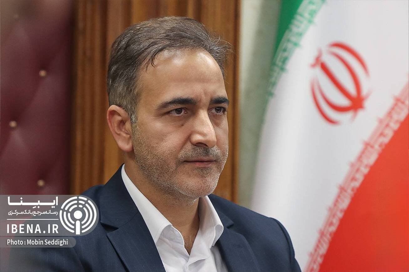 بانک مرکزی برنامه&zwnj;های خوبی برای رفع ناترازی بانک&zwnj;ها دارد