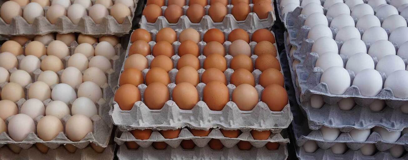 صادرات ۱۵۹ هزارتن تخم مرغ طی سال گذشته