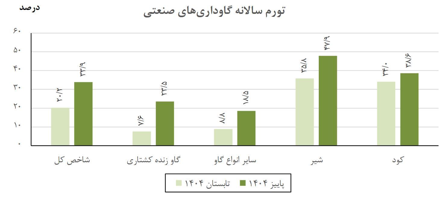 تورم تولیدکننده برق و پرورش دام و طیور افزایش یافت تورم تولیدکننده برق و پرورش دام و طیور افزایش یافت
