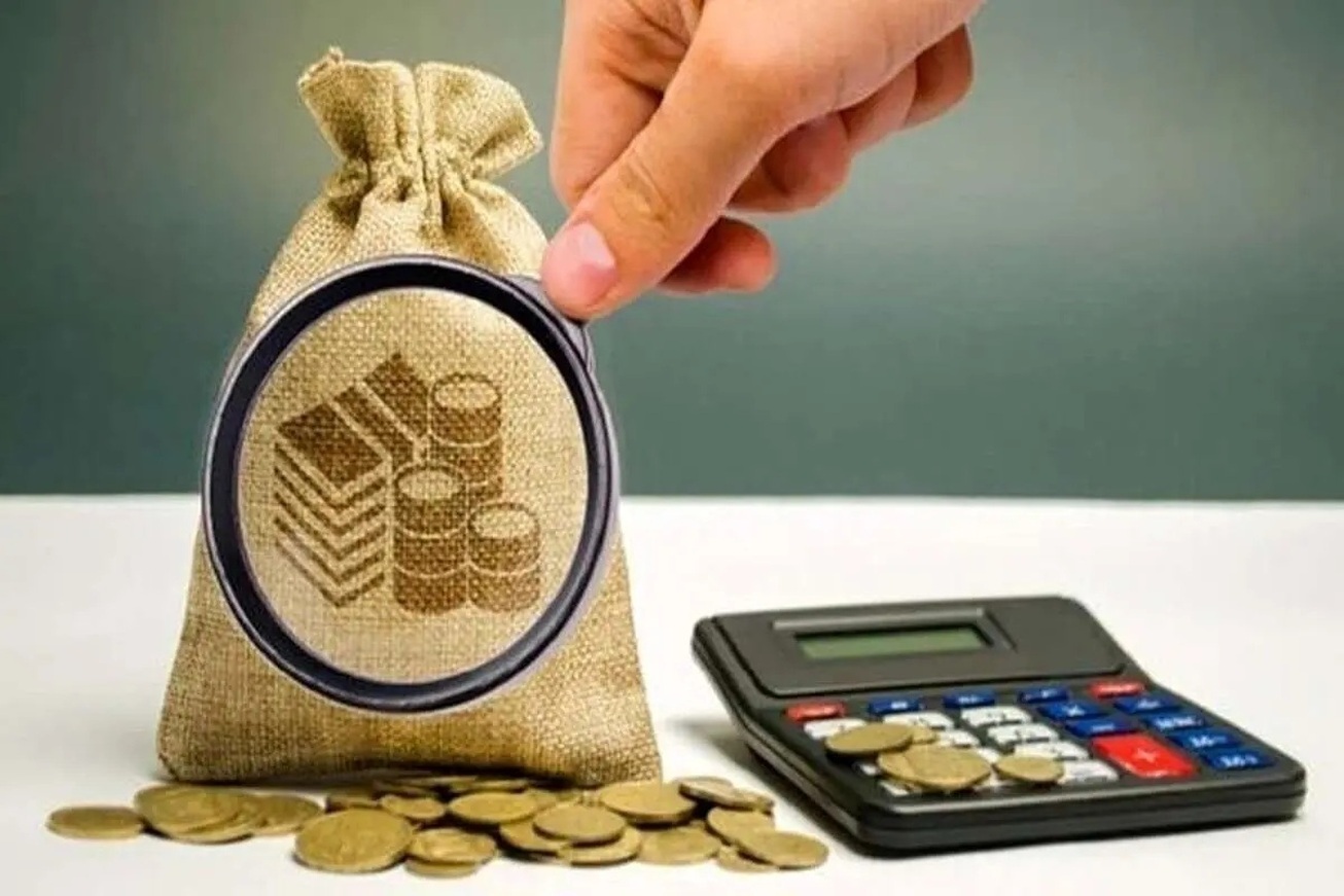 وصول ۲.۳ همت از محل کتمان درآمد در سالجاری/ ۱۶۸ مؤدی مشکوک به پولشویی شناسایی شدند