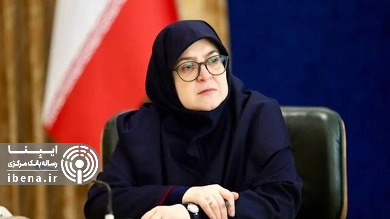 واکنش سخنگوی دولت به ادعا&zwnj;های اخیر بابک زنجانی: بی&zwnj;حرمتی به بانک مرکزی قابل تحمل نیست