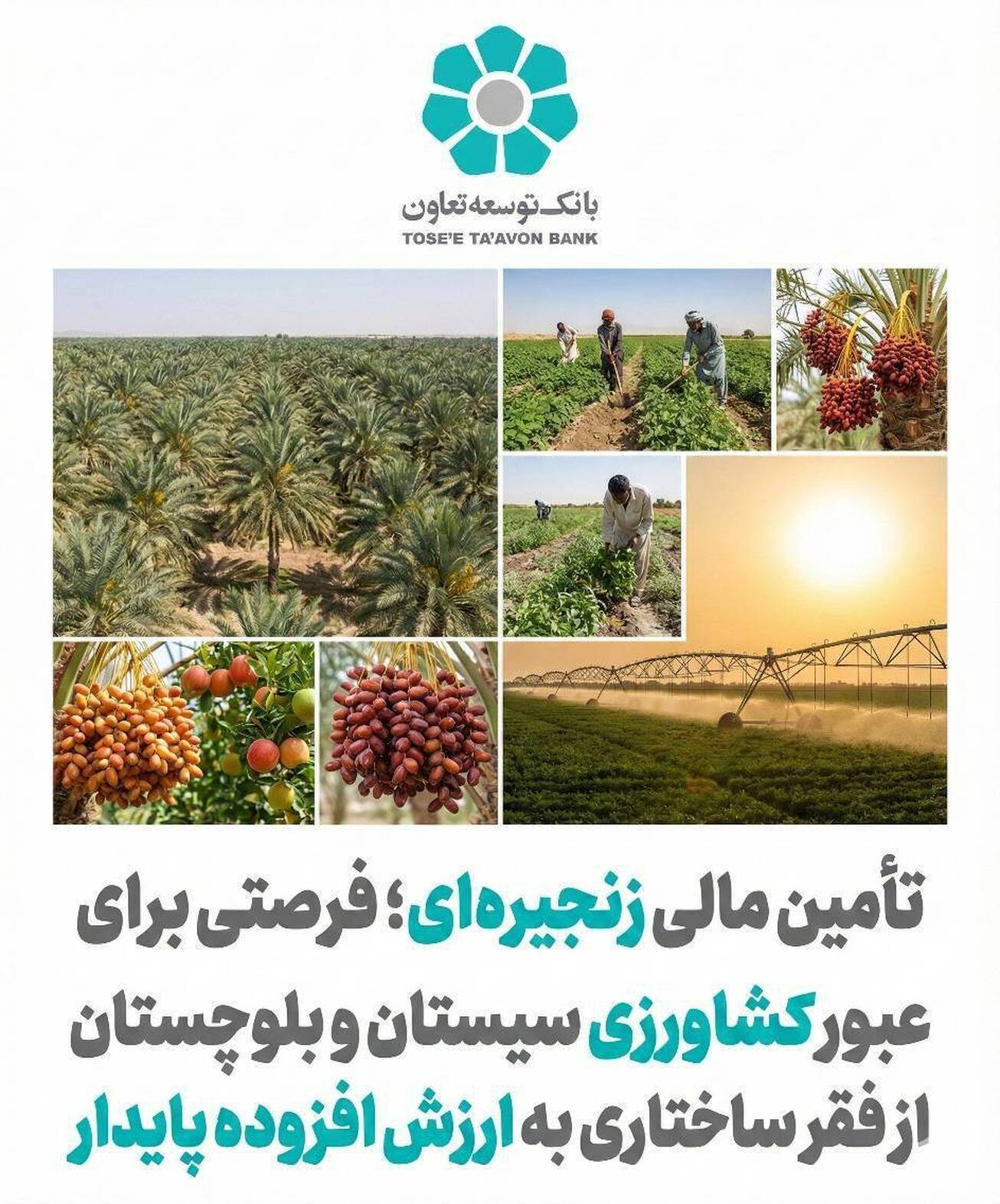 تأمین مالی زنجیره&zwnj;ای؛ فرصتی برای عبور کشاورزی سیستان و بلوچستان از فقر ساختاری به ارزش افزوده پایدار