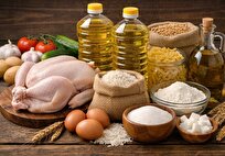 اختصاص یک میلیارد دلار برای تقویت ذخایر کالا‌های اساسی