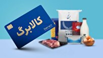 کالابرگ کدام گروه شارژ شد؟