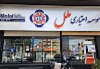همه طرح‌های وام «موسسه اعتباری ملل»