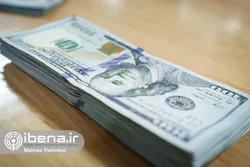 عرضه ۴۳۳ میلیون دلار در سامانه نیما