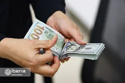 سقوط آزاد قیمت دلار