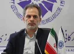 بازار ارز همچنان نیازمند نظارت جدی بانک مرکزی است/ جامعه صرافان رویه اشتباه کانون را تکرار نکند